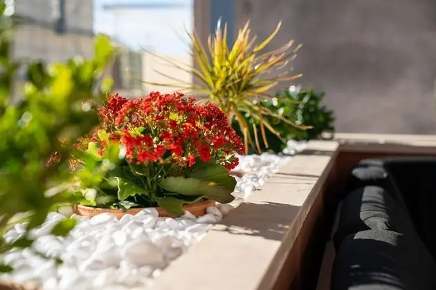 Exclusive Tek Büyük Yataklı Oda