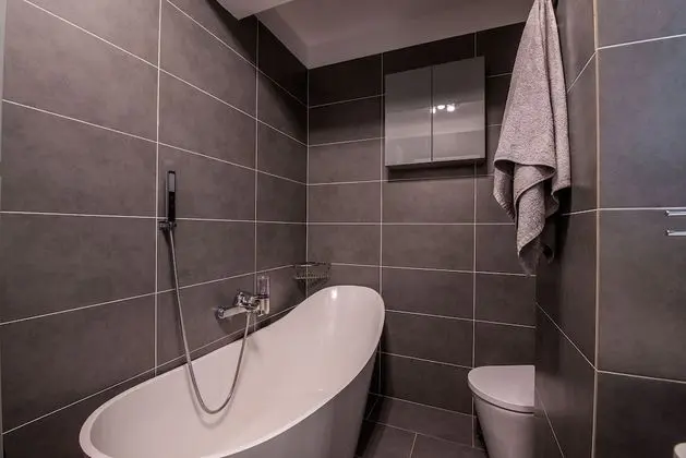 Luxury Apart Daire, 1 Büyük (Queen) Boy Yatak ve Çekyat, Engellilere Uygun