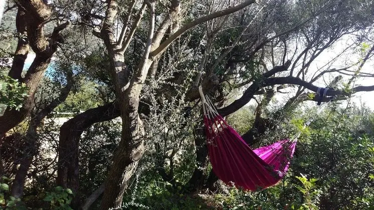 Villa, Birden Çok Yatak