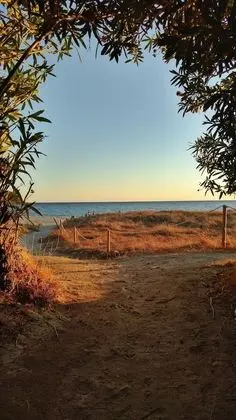 Villa, Birden Çok Yatak