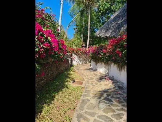 Villa, 2 Yatak Odası, Engellilere Uygun, Sigara İçilebilir