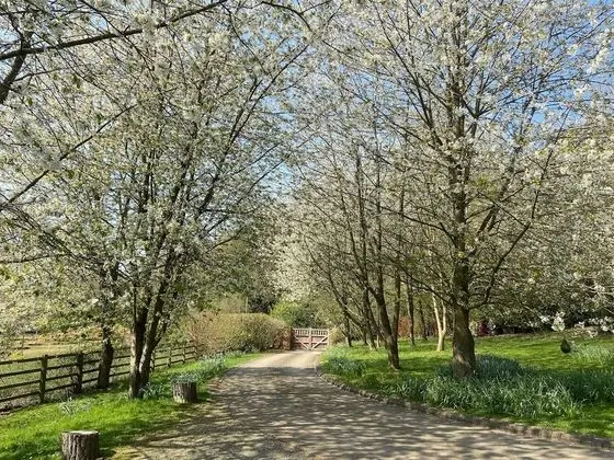 Ev, Birden Çok Yatak