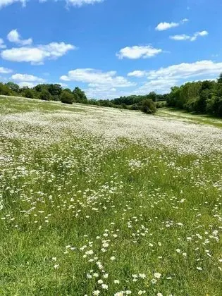Ev, Birden Çok Yatak
