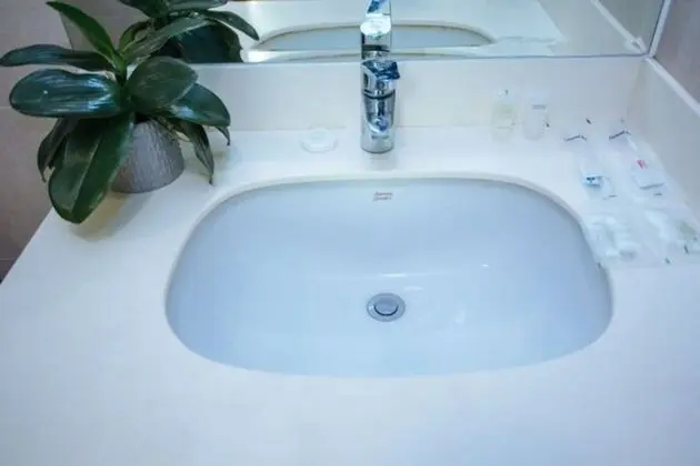 Deluxe Apart Daire, 2 Yatak Odası