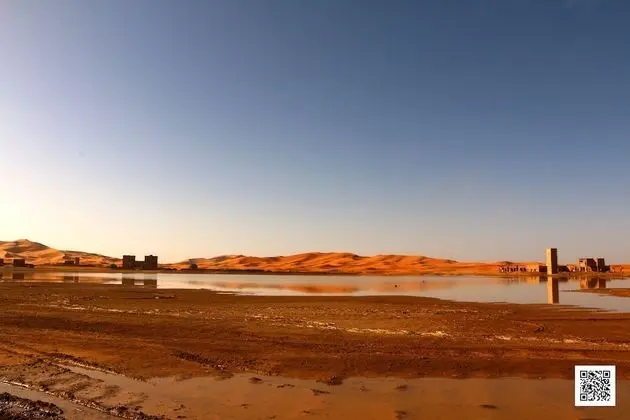 Oda, 1 Yatak Odası, Engellilere Uygun, Teras