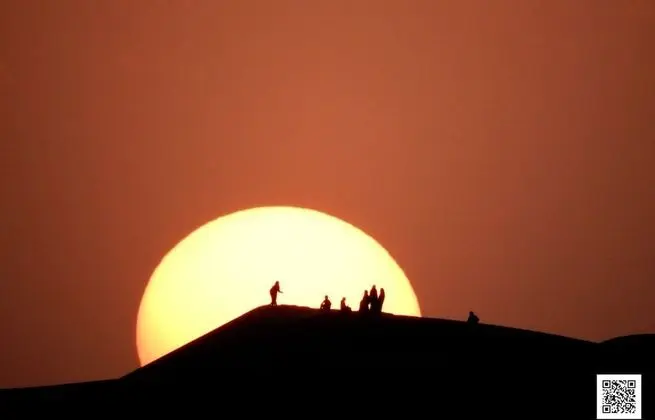 Oda, 1 Yatak Odası, Engellilere Uygun, Teras