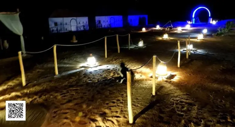 Oda, 1 Yatak Odası, Engellilere Uygun, Teras