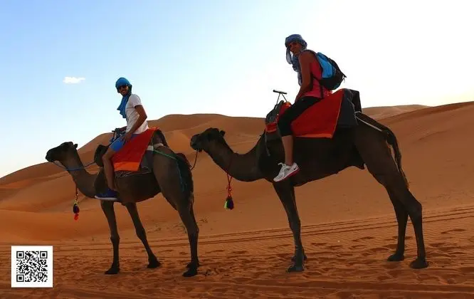 Oda, 1 Yatak Odası, Engellilere Uygun, Teras