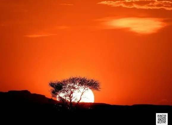 Oda, 1 Yatak Odası, Engellilere Uygun, Teras