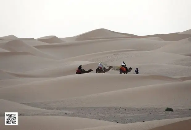 Oda, 1 Yatak Odası, Engellilere Uygun, Teras