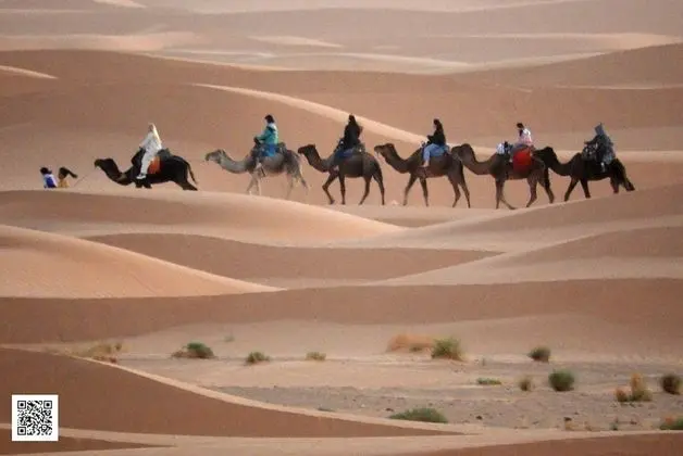 Oda, 1 Yatak Odası, Engellilere Uygun, Teras