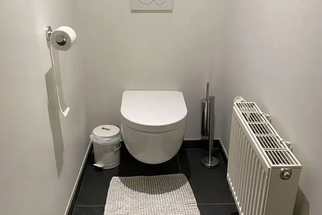 Ev