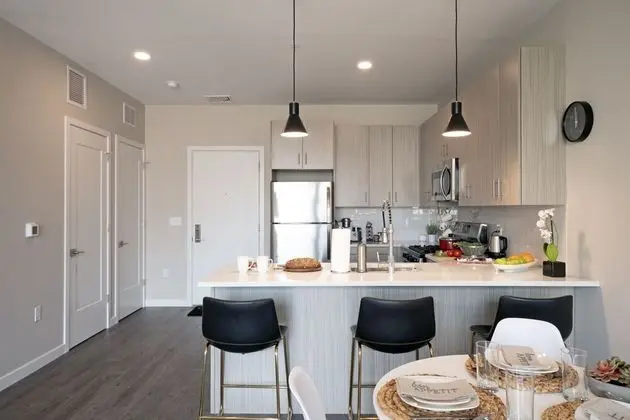 Luxury Apart Daire, 1 Yatak Odası, Mutfak