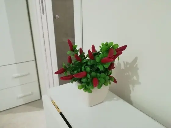 Luxury Üç Kişilik Oda