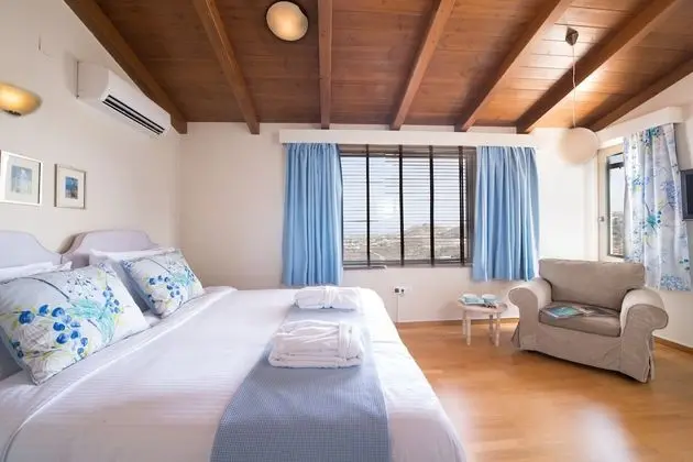 Luxury Villa