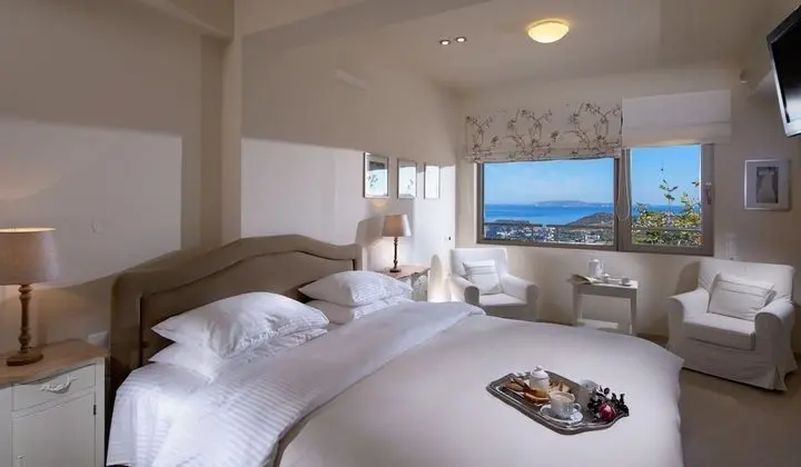 Luxury Villa