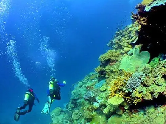 Villa, 3 Yatak Odası, Veranda