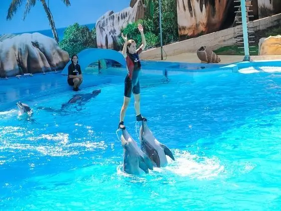 Villa, 3 Yatak Odası, Veranda