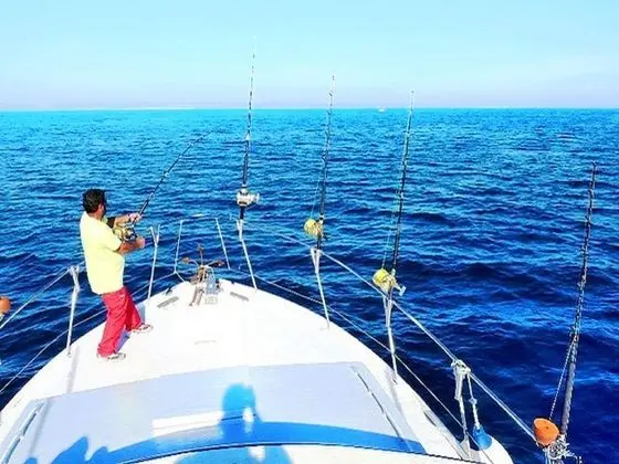 Villa, 3 Yatak Odası, Veranda