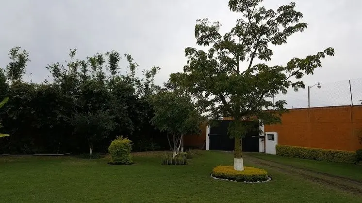 Ev, 4 Yatak Odası, Balkon