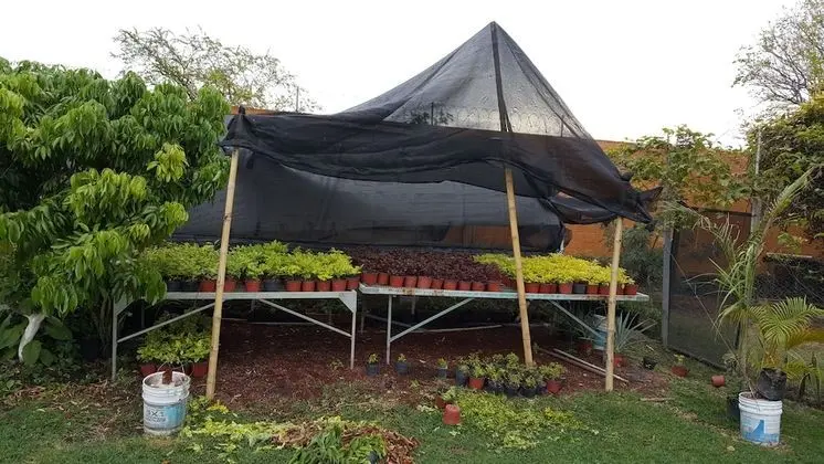 Ev, 4 Yatak Odası, Balkon