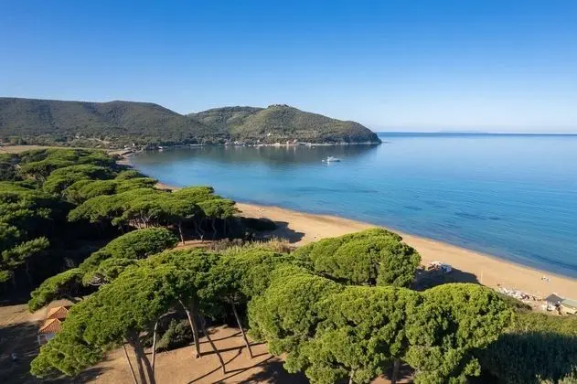 Apart Daire, 5 Yatak Odası, Şömine