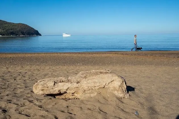 Apart Daire, 5 Yatak Odası, Şömine