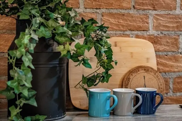 Daire, 2 Yatak Odası