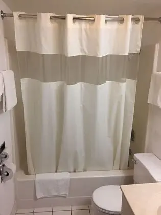 Standard Tek Büyük Yataklı Oda, 2 Çift Kişilik Yatak