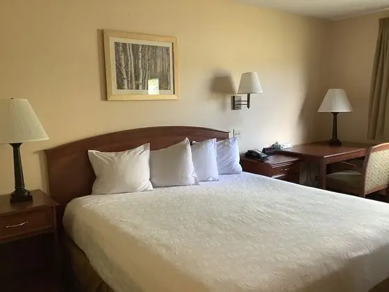 Standard Oda, 1 En Büyük (King) Boy Yatak
