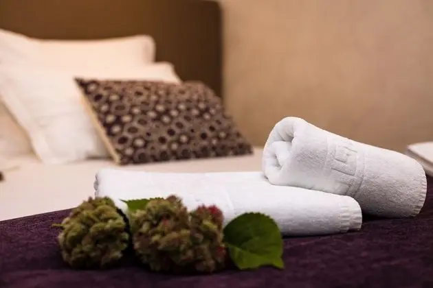 Deluxe Tek Büyük veya İki Ayrı Yataklı Oda, Havuz Kullanımı