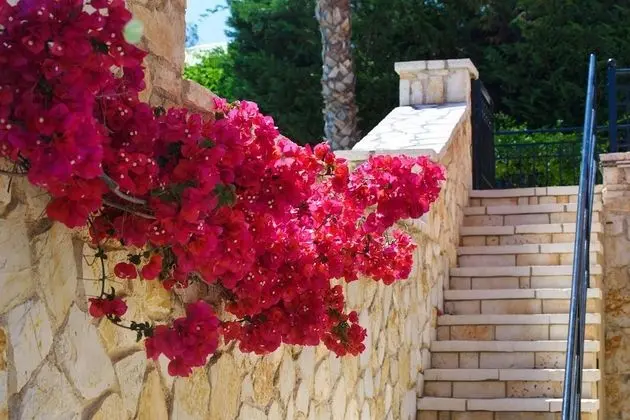 Villa, 4 Yatak Odası, Balkon