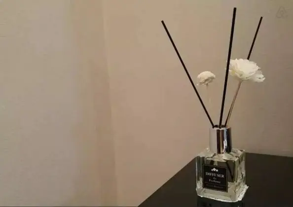 Luxury Loft and Free wifi egg