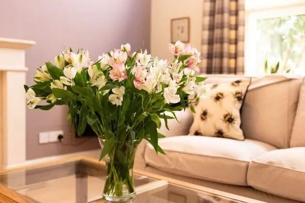 Kır Evi (2 Bedrooms)