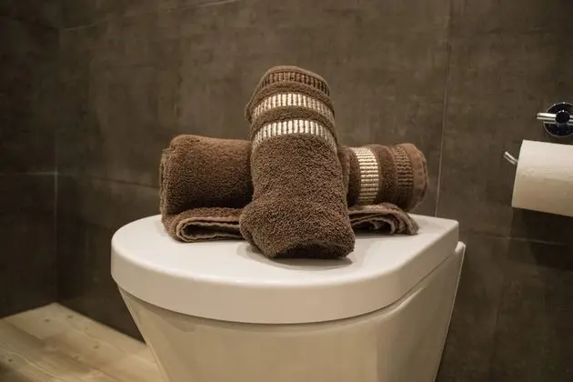 Tek Büyük Yataklı Oda, Ortak Banyo (Brown)