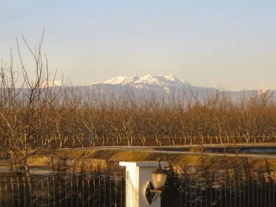 Villa, Birden Çok Yatak