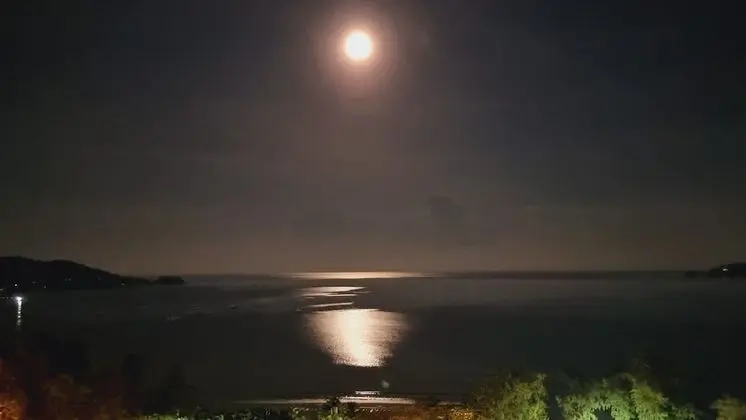 Apart Daire, 1 Yatak Odası, Engellilere Uygun, Balkon