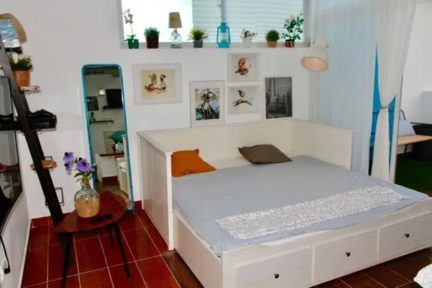 Apart Daire, 2 Yatak Odası, Sigara İçilebilir, Balkon