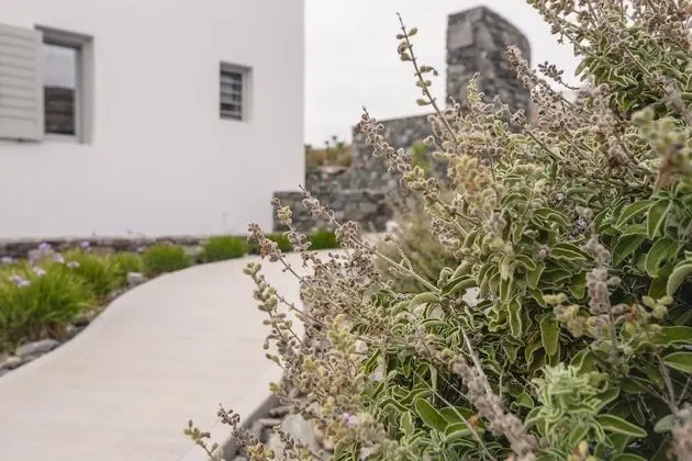 Villa, 4 Yatak Odası, Engellilere Uygun, Şömine