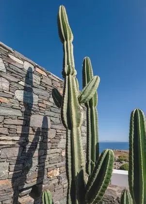 Villa, 4 Yatak Odası, Engellilere Uygun, Şömine