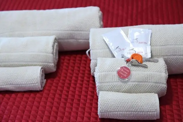 Standard Tek Büyük Yataklı Oda, Özel Banyo