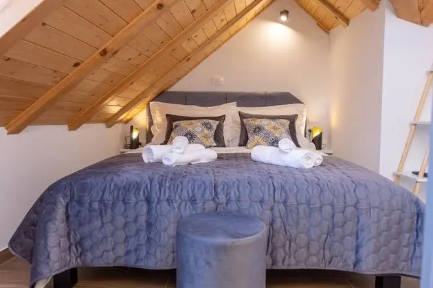 Deluxe Stüdyo Süit