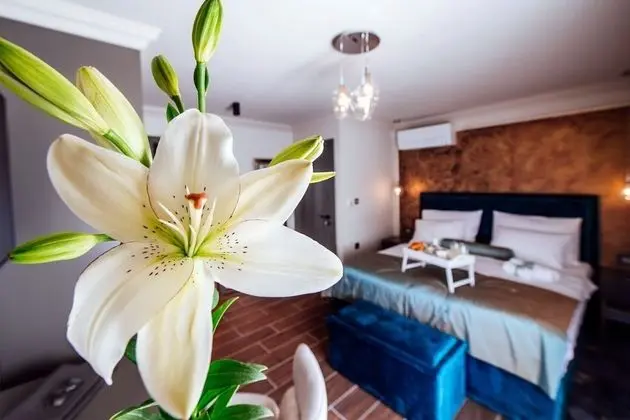 Deluxe Oda, 1 Büyük (Queen) Boy Yatak, Özel Banyo, Şehir Manzaralı