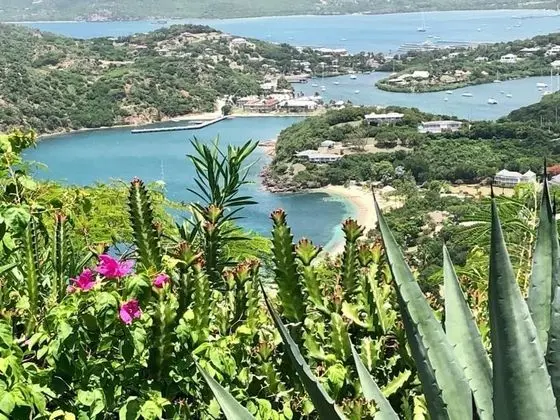 Villa, Birden Çok Yatak
