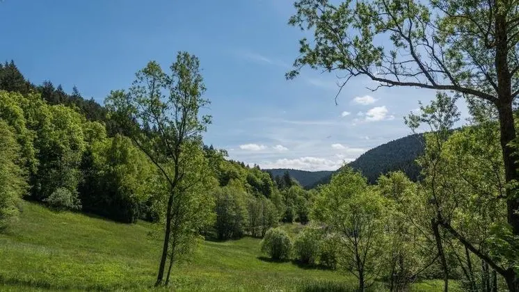 Apart Daire (incl. cleaning fee & laundry package)