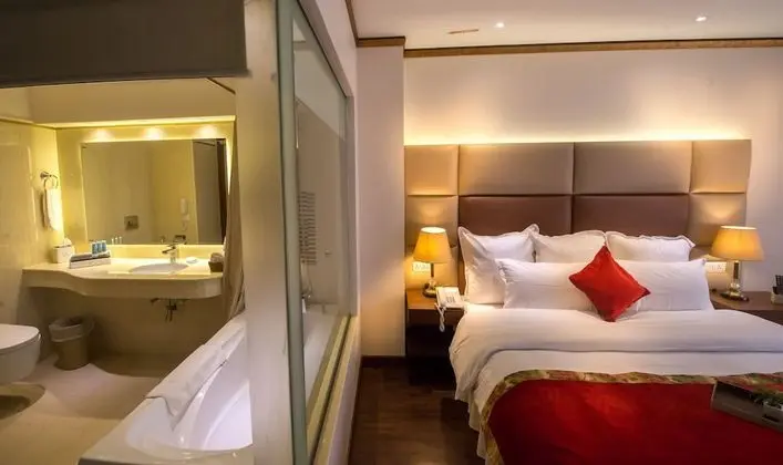 Deluxe Tek Büyük Yataklı Oda