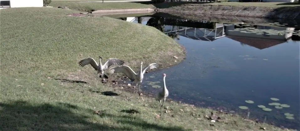 Family Villa, Kişiye Özel Havuzlu, Bahçeli