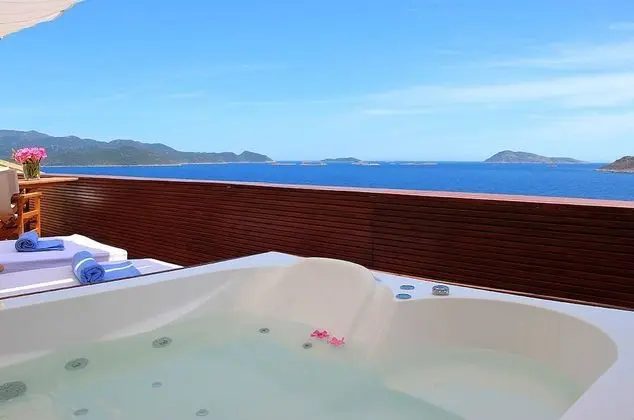 Çatı Katı Süiti (Penthouse)