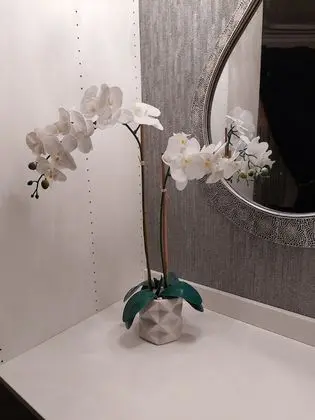 Comfort Tek Büyük veya İki Ayrı Yataklı Oda, 1 Yatak Odası