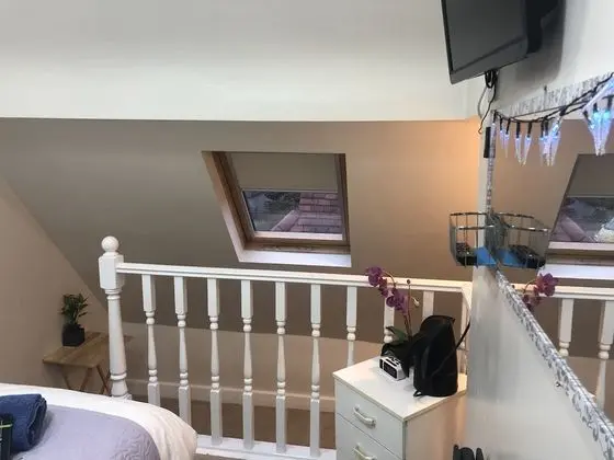 Deluxe Tek Büyük Yataklı Oda, 1 Çift Kişilik Yatak, Sigara İçilmez